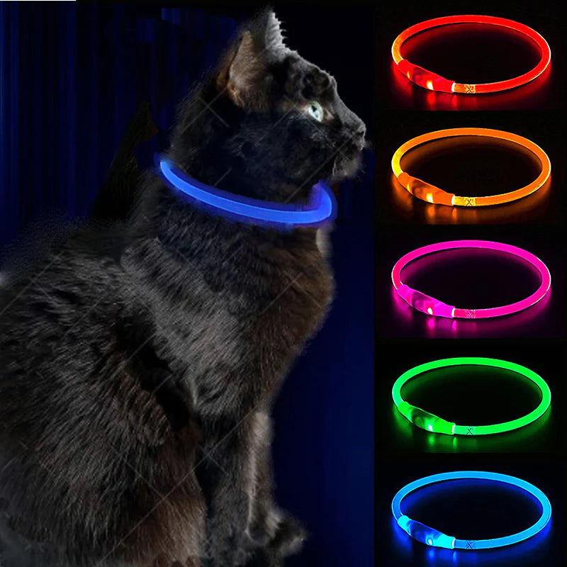 Glow cat shops collar